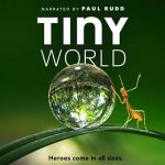 دانلود سریال Tiny World