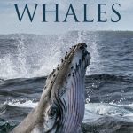 دانلود سریال Secrets of the Whales